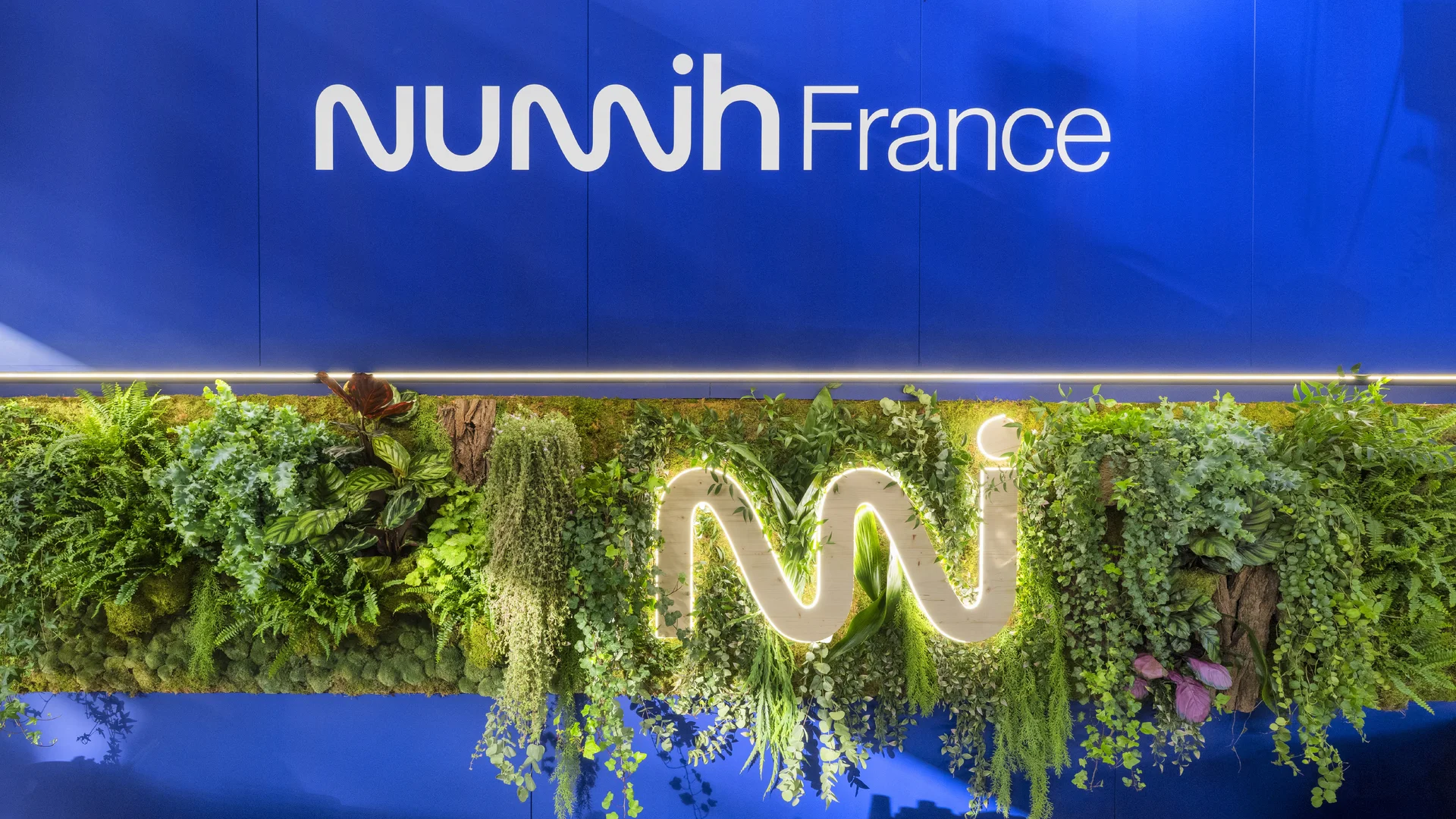 Numih — SantExpo