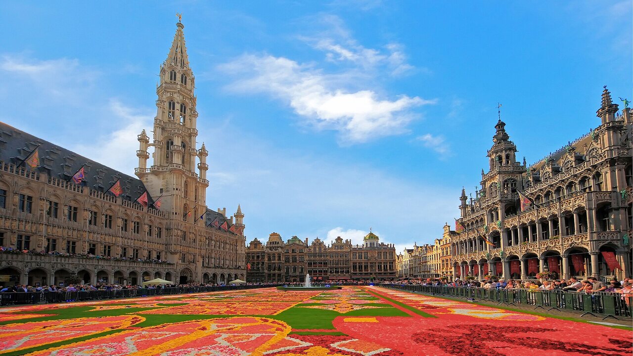 Standiste Bruxelles